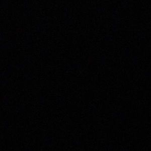 Meet your Posher, Cody